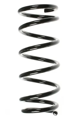 Mola traseira 55875 GKN-Spidan