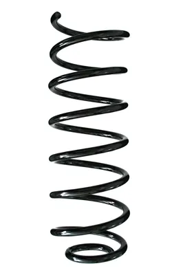 Mola traseira 49256 GKN-Spidan