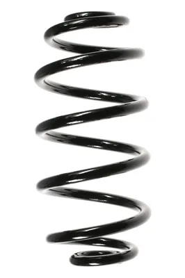 Mola traseira 56602 GKN-Spidan