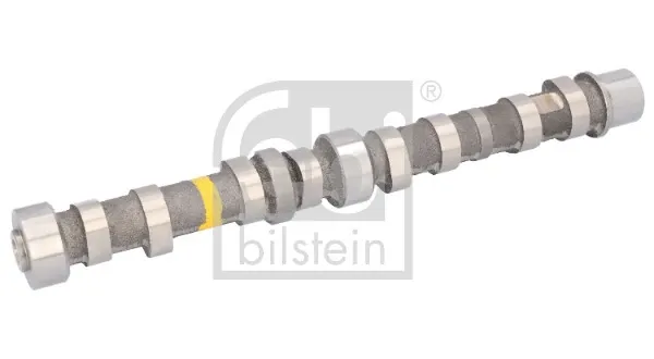 Árvore distribuidora de motor de admissão Fiat 500 312