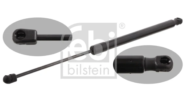 31643 Febi