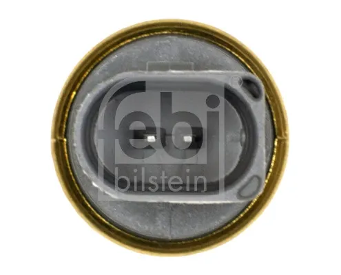 29318 Febi