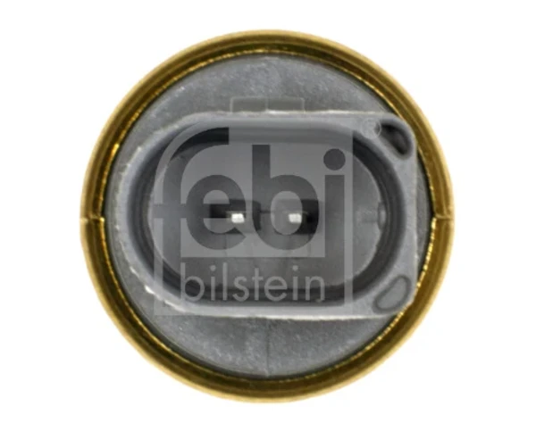 29318 Febi