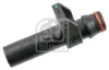 30689 Febi