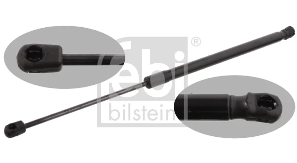 31663 Febi