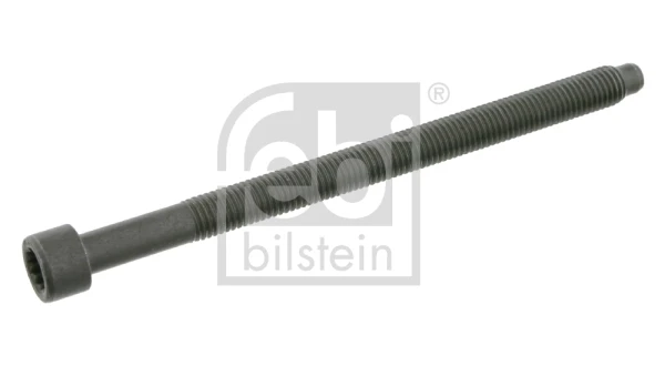 38103384 VAG parafuso de cabeça de motor (cbc)