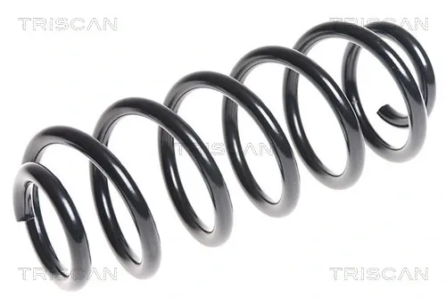 Mola dianteira 875029285 Triscan