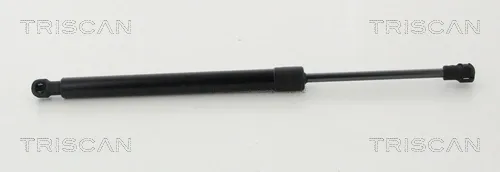 Amortecedor de tampa de porta-malas (de 3ª/5ª porta traseira) Audi TT FV9, FVR