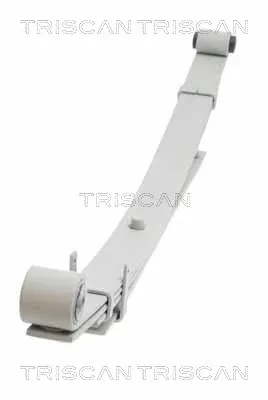 Suspensão de lâminas traseiro Hyundai H-1 STAREX Starex