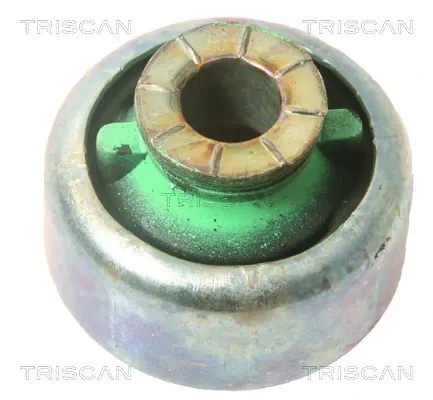 Bloco silencioso dianteiro do braço oscilante inferior 850010816 Triscan