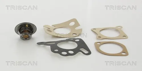 Termostato 86202882 Triscan