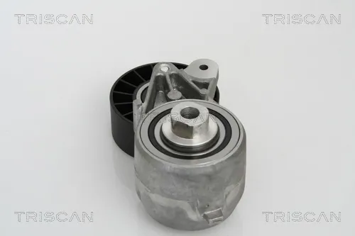 Reguladora de tensão da correia de transmissão Mercedes S C140
