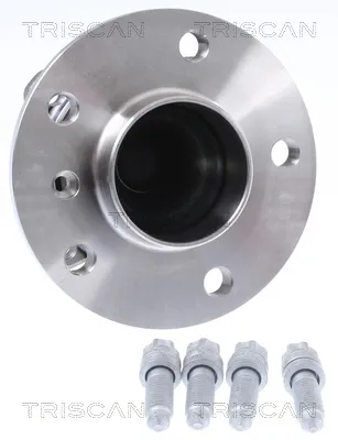 Cubo traseiro 853011237 Triscan