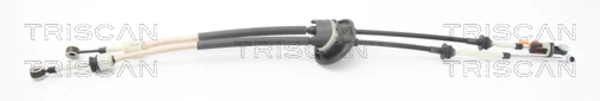 Cabo de mudança duplo para Peugeot 307 (3B)