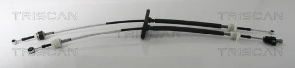 Cabo de mudança duplo para Fiat Ducato (250)