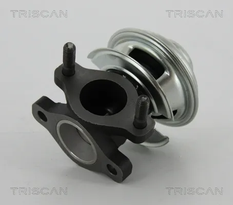 Válvula EGR de recirculação dos gases KIA Carnival II
