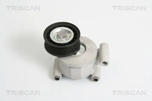 Reguladora de tensão da correia de transmissão 8641103022 Triscan