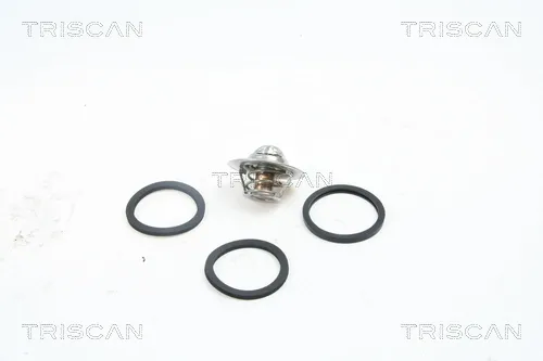 Termostato 86205491 Triscan