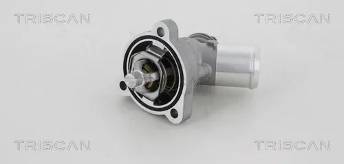 Caixa do termostato 862038500 Triscan