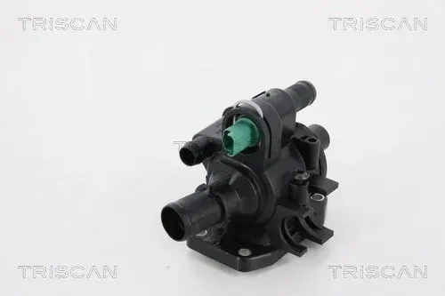 Termostato 862025083 Triscan