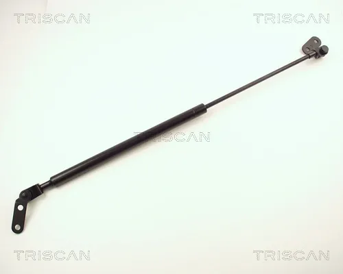 Amortecedor de tampa de porta-malas (de 3ª/5ª porta traseira) Nissan Micra K10