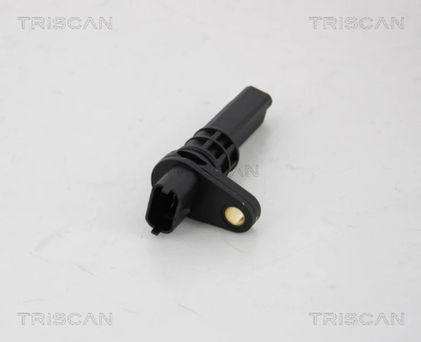 818024101 Triscan