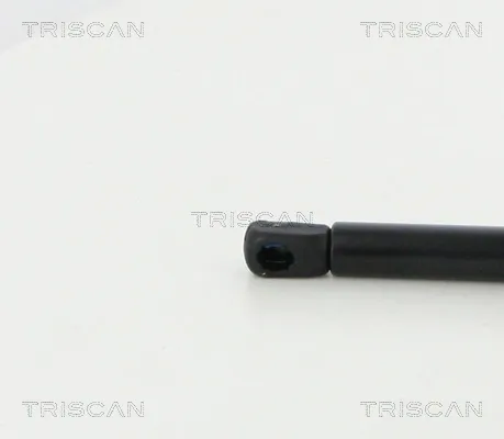 Amortecedor de tampa de porta-malas (de 3ª/5ª porta traseira) 1679434580 Peugeot/Citroen
