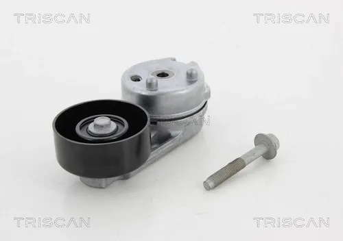 Reguladora de tensão da correia de transmissão 8641102036 Triscan