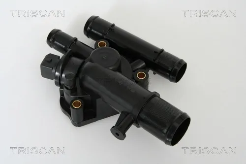 Termostato 862020289 Triscan
