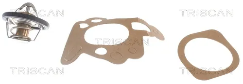 Termostato 86202782 Triscan