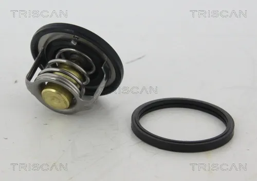 Termostato A210282 Tama