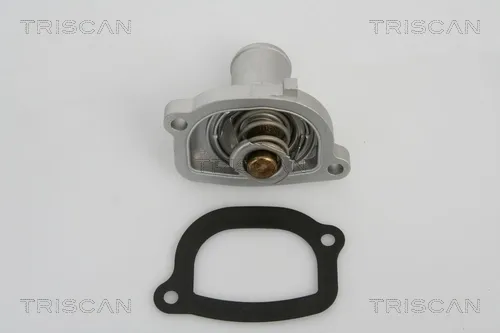 Termostato 862019687 Triscan
