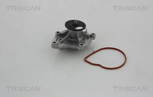Bomba de água (bomba) de esfriamento 860010032 Triscan