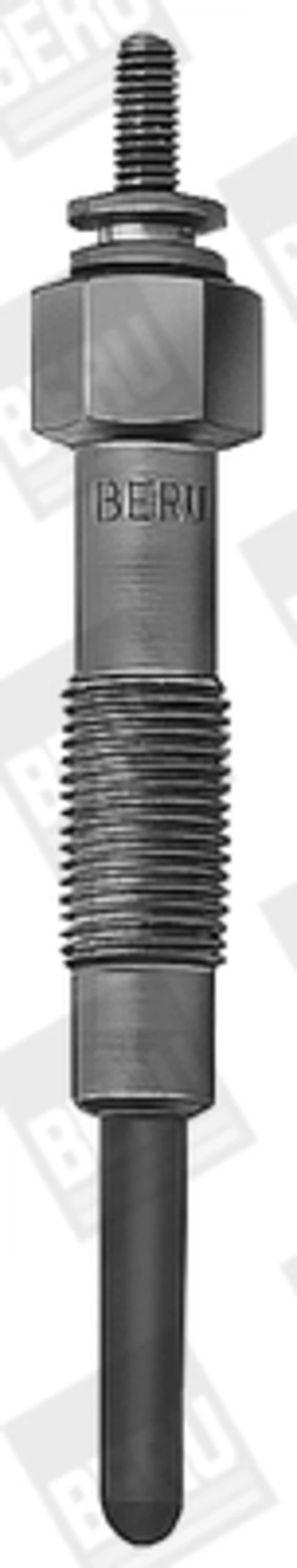 GV673 Beru