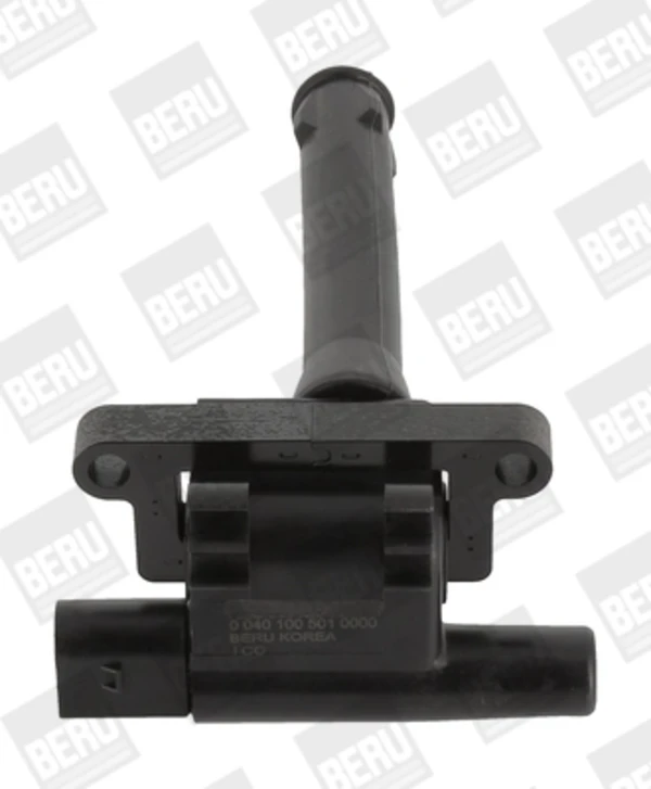 ZS501 Beru