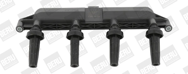 ZSE047 Beru
