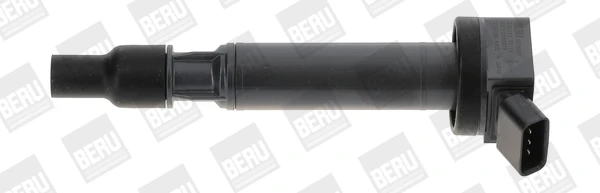 ZSE192 Beru