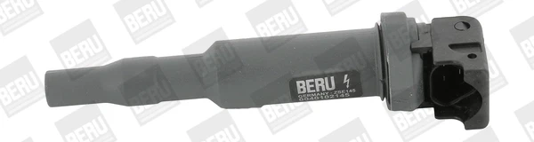 ZSE145 Beru