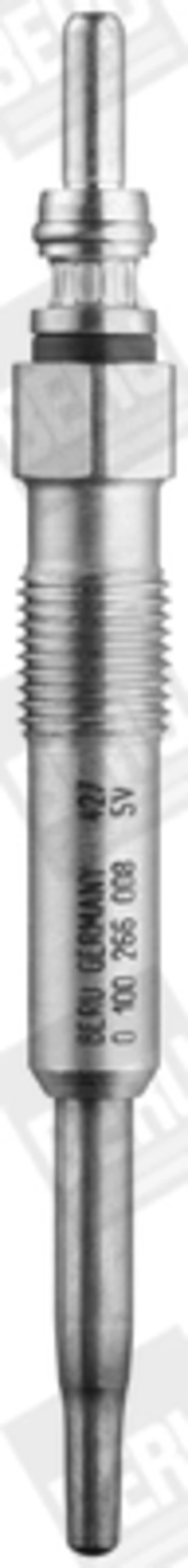 GE100 Beru