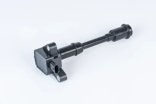 ZSE203 Beru