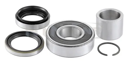 Rolamento de cubo traseiro R14138 SNR