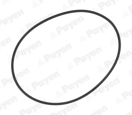 Vedante anular para a camisa de motor 157426 Renault (RVI)