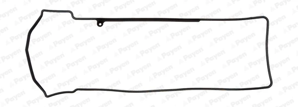 JM7028 Payen