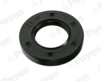Bucim da haste de redutor do eixo dianteiro 38189N3100 Nissan/Infiniti