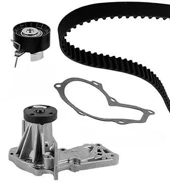 Correia do mecanismo de distribuição de gás, kit 3009901 Metelli