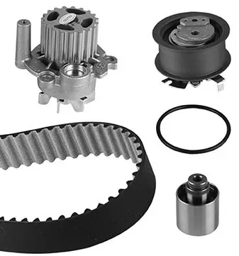 Correia do mecanismo de distribuição de gás, kit 3008791 Metelli