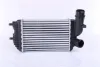 Radiador de intercooler Citroen Jumper 244