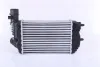 Radiador de intercooler Citroen Jumper 244