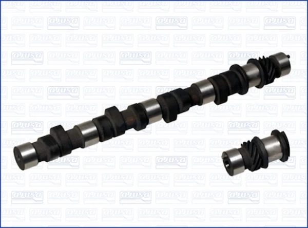 Árvore distribuidora de motor para Mitsubishi L 300 (P1T)
