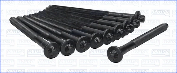 81008000 Ajusa
